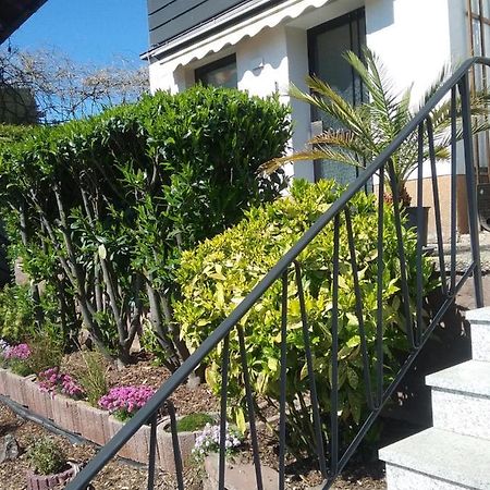 Kreuzwertheim Apartment Am Kaffelstein - Mit Terrasse מראה חיצוני תמונה